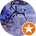 Lori Bonebrake Avatar