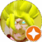 Joshua Stewart Avatar
